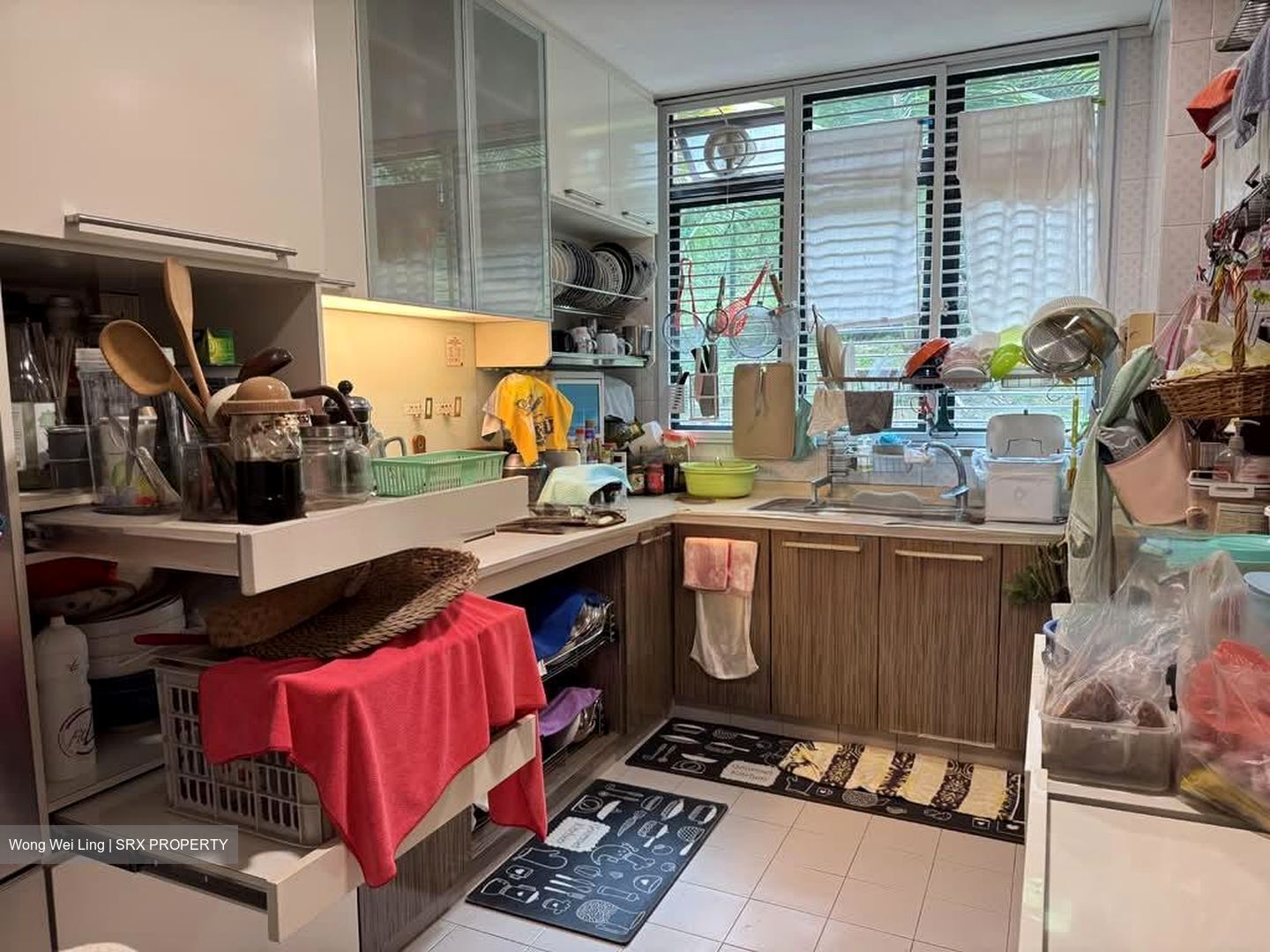 Hume Park I (D21), Condominium #574560071